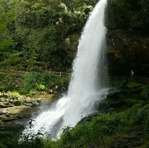 Meet your Posher, Sue